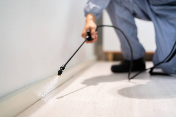 Licensed Bed Bug Control service in McIntosh County County, OK - Nex Pest Control