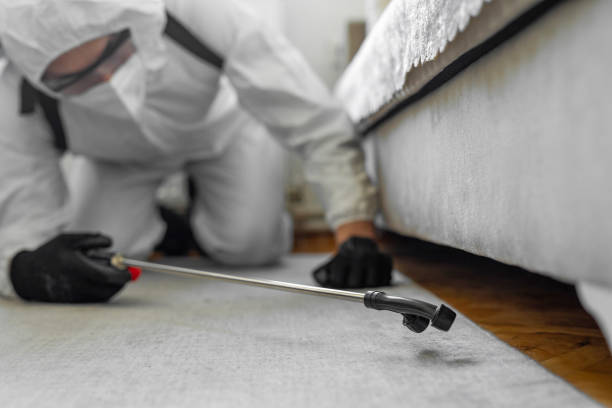 Professional Bed Bug Control technician working in McIntosh County County, OK